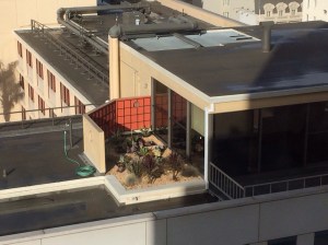 The best view of SF is from above, looking at the roofs and upper levels of the buildings.